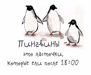 С днем рождения пингвин открытка - 47 фото