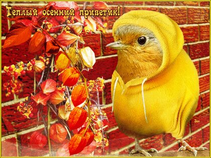 Бесплатные открытки для Одноклассников