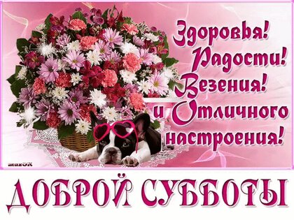 Смс пожелание хорошей субботы новые фото Смс пожелание хорошей субботы новые фото