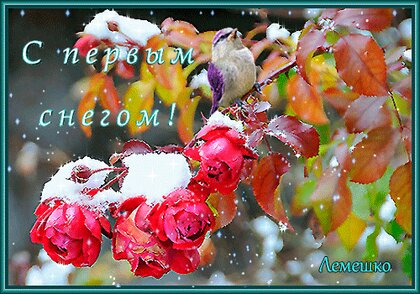 Поздравления и открытки с первым днем ​​зимы — стихи