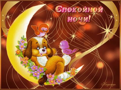 Спокойной ночи 💛 До завтра! Пожелание Добрых Снов!