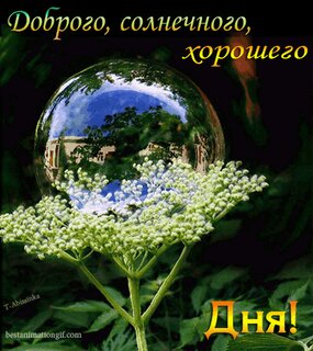 Хорошего дня природа - 79 фото