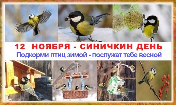 Картинки 12 ноября. Открытки Синичкин день 12 ноября. Синичкин день открытка. Синичкин календарь праздник. Синичкин день 12 ноября рисунки.