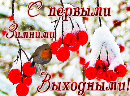 s-pervymi-zimnimi-vyxodnymi.jpg?z=339