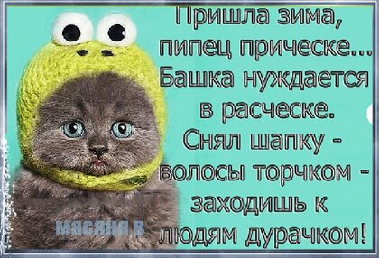 Привет Зима картинки рисунок стильный Переходи в ТГ канал и Скачай это видео Готовый шаблон сторис